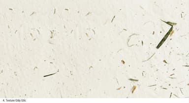 Texture giấy gốc